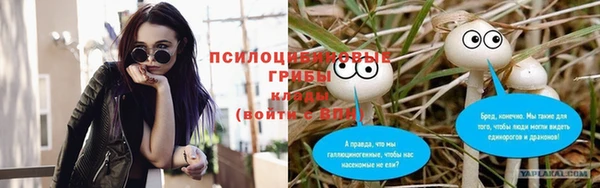 не бодяженный Гусев