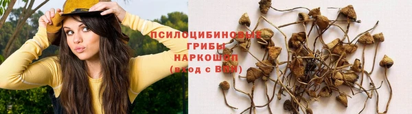 твердый Надым