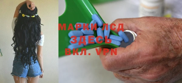 ешки Вяземский